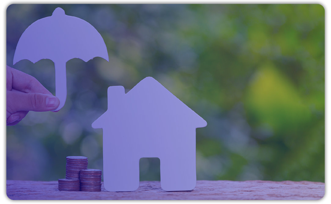 focus banque et assurance