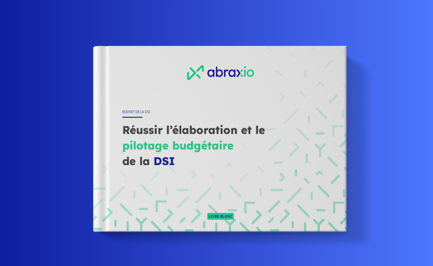 Budget DSI : réussir son élaboration & son pilotage